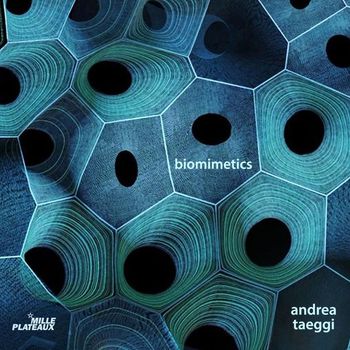 Andrea Taeggi - Biomimetics