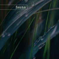 Fauna - nature sounds, vol. 1 (nature)