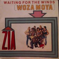 Zia - Waiting for the Winds (Woza Moya)