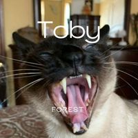 Forest - Toby