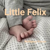 Wolfgang Vrecun - Little Felix