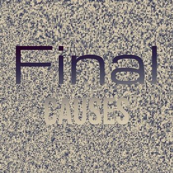 Various Artists - Final Causes