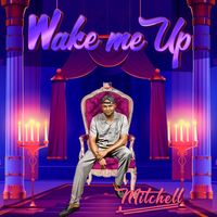 Mitchell - Wake Me Up