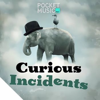 Various Artists - Curious Incidents
