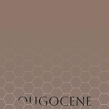 Various Artists - Oligocene