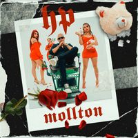 Moltton - HP (Explicit)