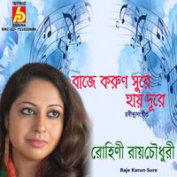 Rohini Raychaudhuri - Baje Karun Sure