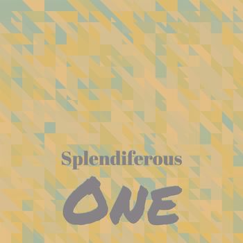 Various Artists - Splendiferous One