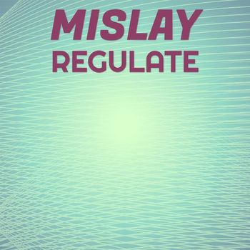 Various Artists - Mislay Regulate