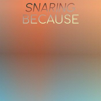 Various Artists - Snaring Because