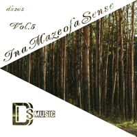 Various Artists - In a Maze of a Sense, Vol. 5