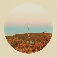 Guerrero - Ardeo