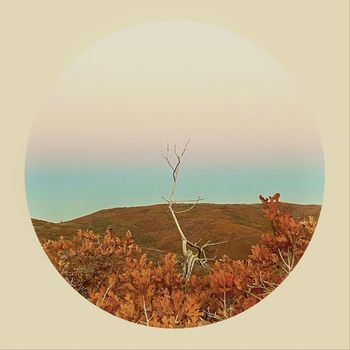 Guerrero - Ardeo