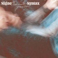 Signe - Syntax