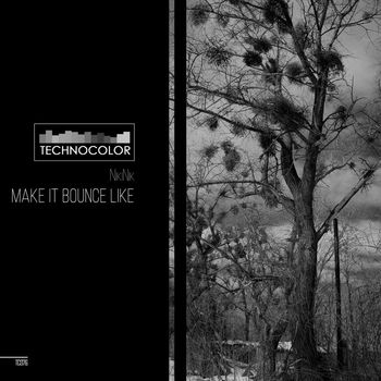 NikiNik - Make It Bounce Like