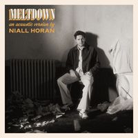 Niall Horan - Meltdown (Acoustic)