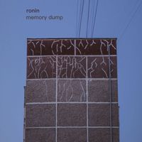 Ronin - Memory Dump