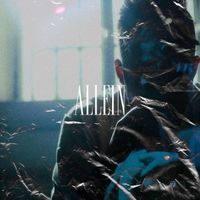 Moudi - Allein