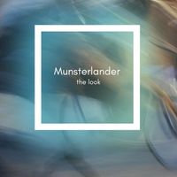 Munsterlander - The Look