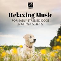 Calming Music for Dogs - Relaxing Music for Easily Stressed Dogs & Nervous Dogs