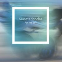 Munsterlander - For the Best