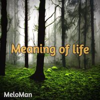 Meloman - Meaning of life