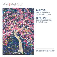 Calidore String Quartet - Music@Menlo Live, Haydn Connections, Vol. 3