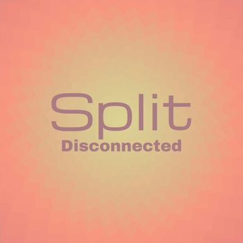 Various Artists - Split Disconnected