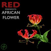 Red - African Flower