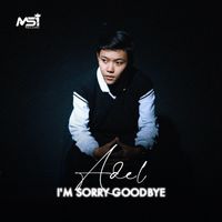 Adel - I'm Sorry Goodbye