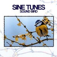 Sine Tunes - Sound Bird