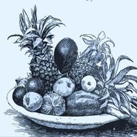 Joni Mitchell - Sweet Fruits