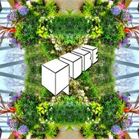 Qube - UNDER THE SUN
