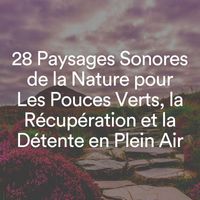 Multi-interprètes - 28 Paysages Sonores de la Nature pour Les Pouces Verts, la Récupération et la Détente en Plein Air