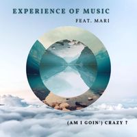 Experience Of Music - (Am I Goin') Crazy