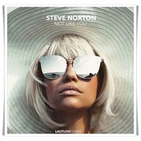 Steve Norton - Not Like You (Extended Mix)