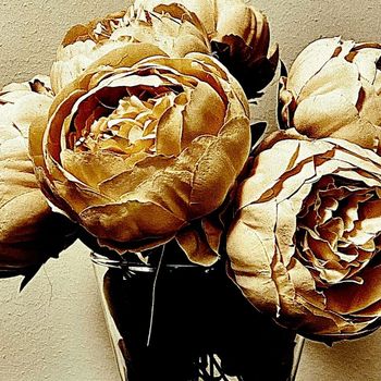 Tedeborg - Die arme Welt