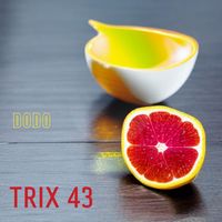 dodo - TRIX 43