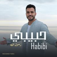 Mohamed Tarek - Habibi