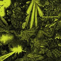 Vile Ritual - Aimless
