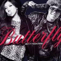 Mr. T - Butterfly (Remix)