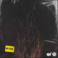 Bronze Whale - On Fire