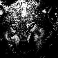 Elmer - This Is Where I Leave You (Explicit)