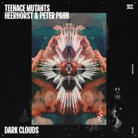 Teenage Mutants - Dark Clouds (feat. Heerhorst & Peter Pahn) (Extended Mix)