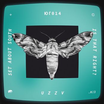 u z z v - Is That Right?