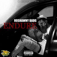 Roshawny BadG - Endure