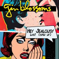 Gin Blossoms - Hey Jealousy (Live - Sped Up)