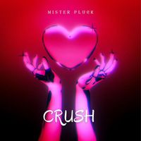 Mister Pluck - Crush