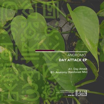 Andromo - Day Attack