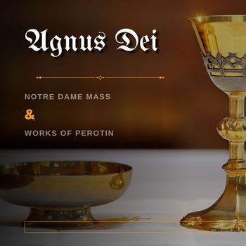 Various Artists - Agnus Dei